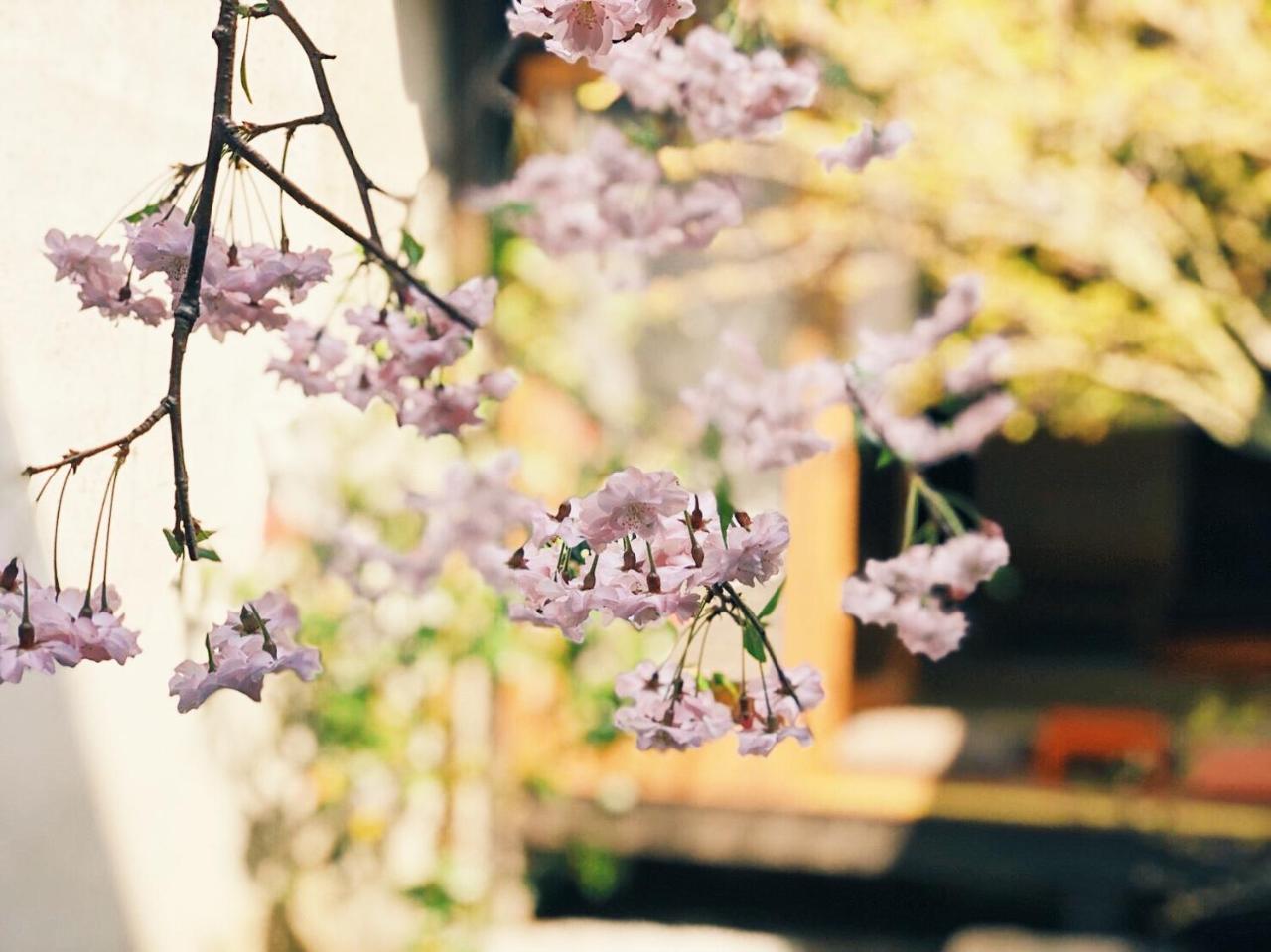 Casa Ogumo Villa Kyoto Ngoại thất bức ảnh
